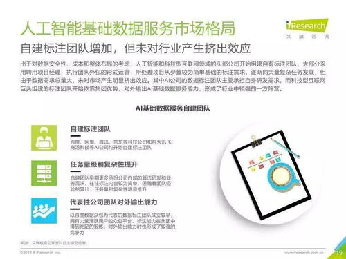 中國人工智能基礎(chǔ)數(shù)據(jù)服務(wù)行業(yè)報(bào)告 人工智能基礎(chǔ)軟件開發(fā)的動力引擎與未來趨勢